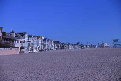 DSC_0843 (Large).JPG